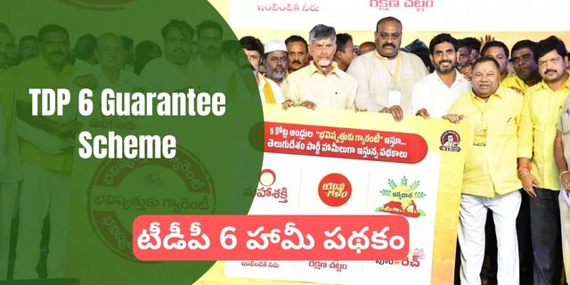 TDP 6 Guarantee Scheme