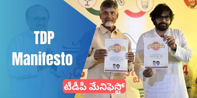 TDP Manifesto 