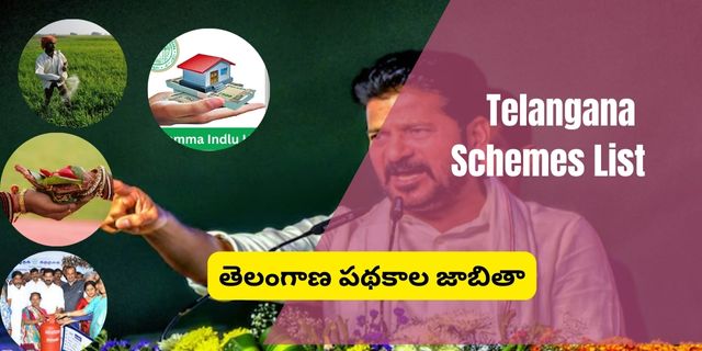 Telangana Schemes List   